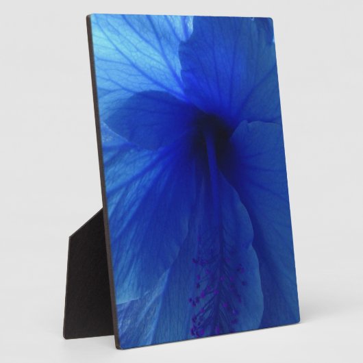 Blue Hibiscus Flower Fotoplaat (Zijkant)