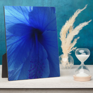Blue Hibiscus Flower Fotoplaat