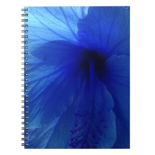 Blue Hibiscus Flower Notitieboek (Voorkant)
