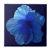 Blue Hibiscus Flower Tegeltje (Voorkant)