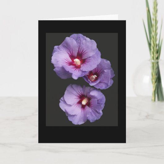 Blue Hibiscus Groeten Kaart (Voorkant)