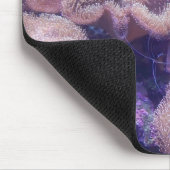 "Blue Hippo Tang Oasis" Muismat (Hoek)