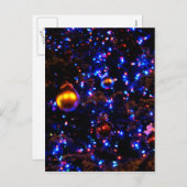 Blue Holiday Glow Feestdagenkaart (Voorkant / Achterkant)