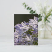Blue Hostas Briefkaart (Staand voorkant)