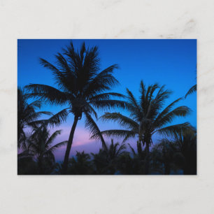 Blue Hour Bliss: Silhouet palmbomen Briefkaart