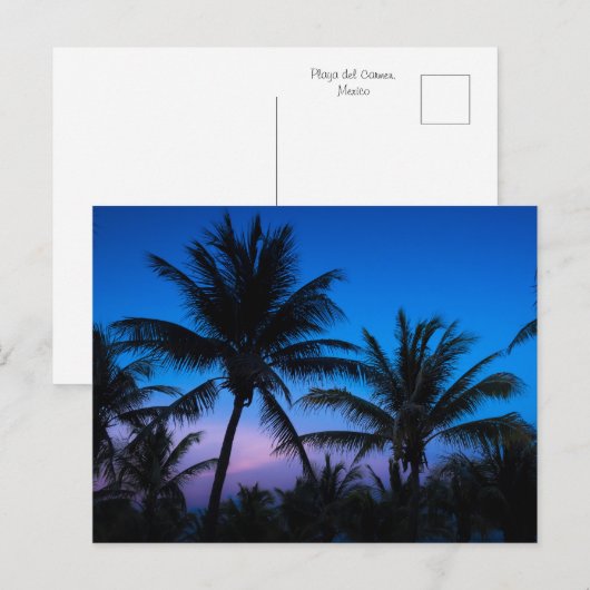 Blue Hour Bliss: Silhouet palmbomen Briefkaart (Voorkant / Achterkant)