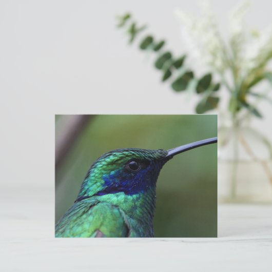 Blue Humming Bird Briefkaart (Staand voorkant)