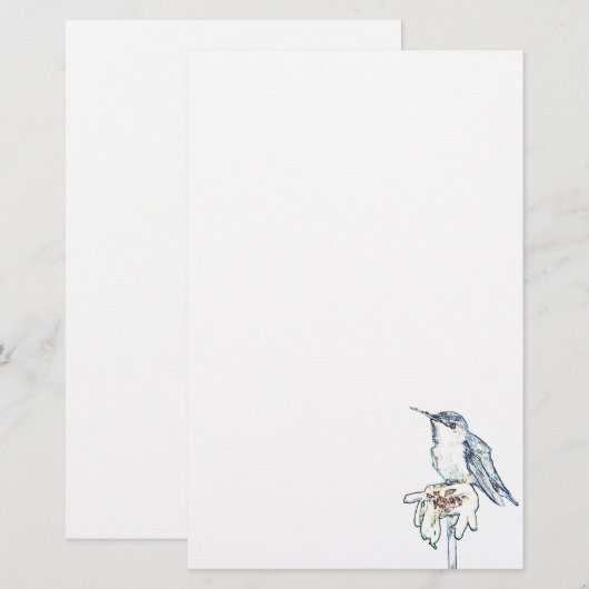 Blue Hummingbird op Shasta Daisy Briefpapier (Voorkant / Achterkant)