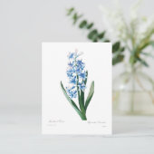 Blue Hyacinth Briefkaart (Staand voorkant)