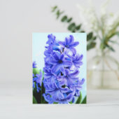 Blue Hyacinth Briefkaart (Staand voorkant)