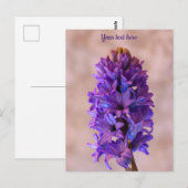 Blue Hyacinth Briefkaart (Voorkant / Achterkant)
