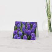 Blue Hyacinth Feestdagen Kaart (Voorkant)