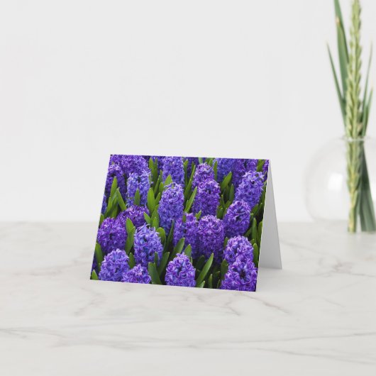 Blue Hyacinth Feestdagen Kaart (Voorkant)
