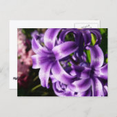 Blue Hyacinth I Spring Floral Briefkaart (Voorkant / Achterkant)