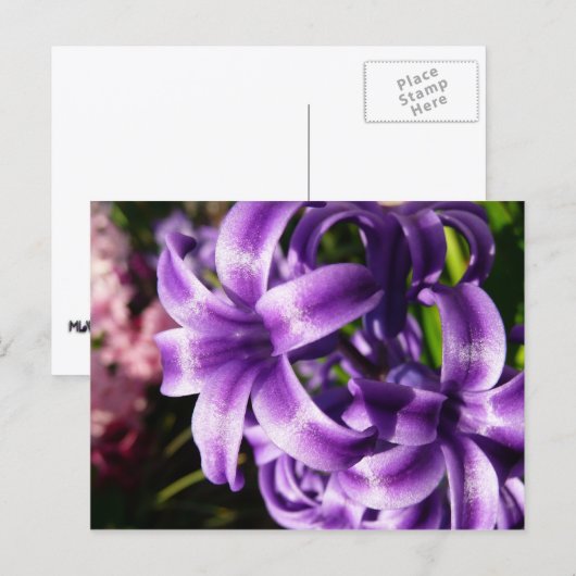 Blue Hyacinth I Spring Floral Briefkaart (Voorkant / Achterkant)
