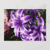 Blue Hyacinth I Spring Floral Briefkaart (Voorkant)