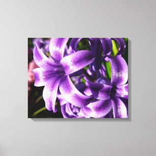 Blue Hyacinth I Spring Floral Canvas Afdruk