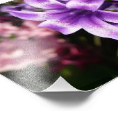 Blue Hyacinth I Spring Floral Foto Afdruk (Hoek)