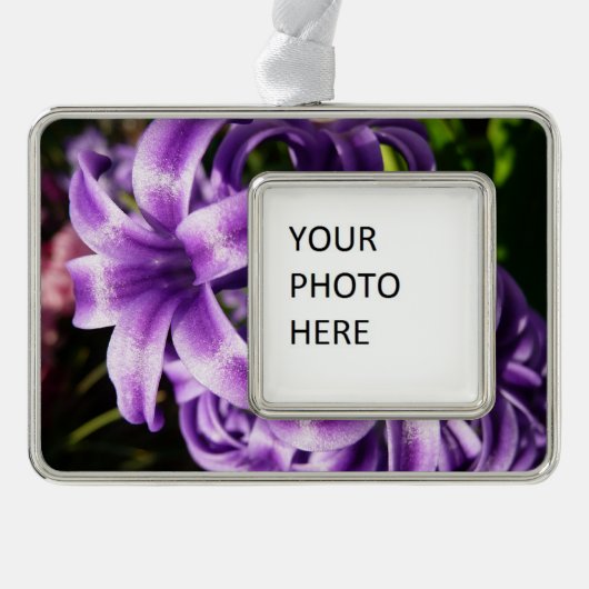Blue Hyacinth I Spring Floral Verzilverd Omlijst Ornament (Voorkant)
