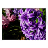 Blue Hyacinth II Spring Floral (Voorkant Horizontaal)