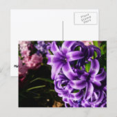 Blue Hyacinth II Spring Floral Briefkaart (Voorkant / Achterkant)