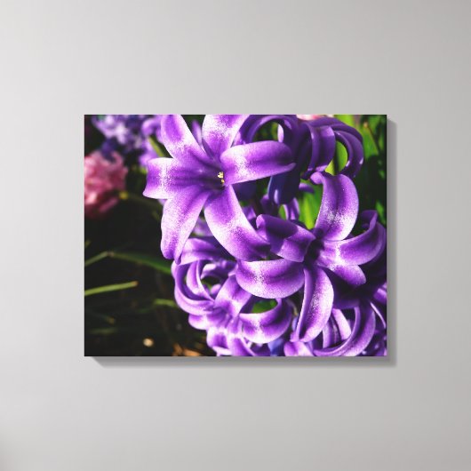 Blue Hyacinth II Spring Floral Canvas Afdruk (Voorkant)
