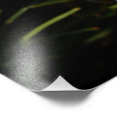 Blue Hyacinth II Spring Floral Foto Afdruk (Hoek)