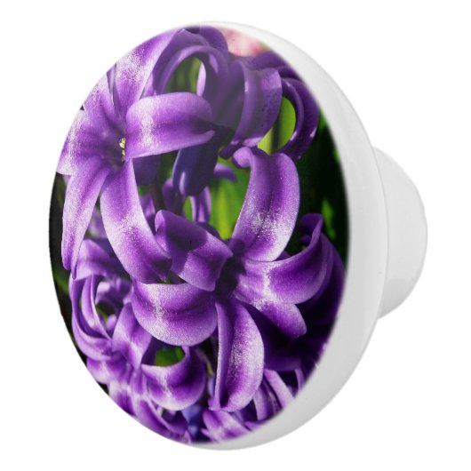 Blue Hyacinth II Spring Floral Keramische Knop (Rechts)