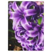 Blue Hyacinth II Spring Floral Klembord (Achterkant)