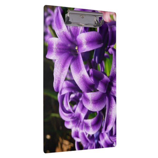 Blue Hyacinth II Spring Floral Klembord (Rechts)