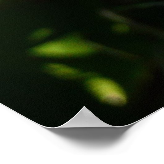 Blue Hyacinth II Spring Floral Poster (Hoek)