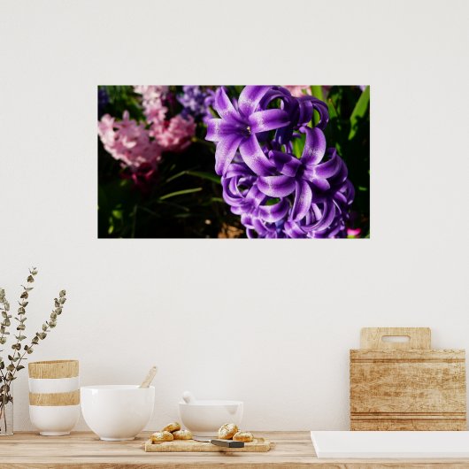 Blue Hyacinth II Spring Floral Poster (Keuken)