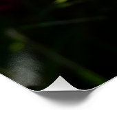 Blue Hyacinth II Spring Floral Poster (Hoek)