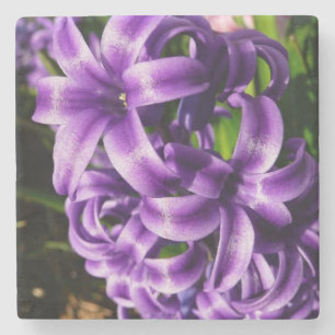Blue Hyacinth II Spring Floral Stenen Onderzetter