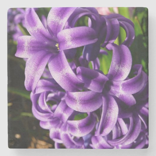 Blue Hyacinth II Spring Floral Stenen Onderzetter (Voorkant)