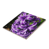 Blue Hyacinth II Spring Floral Tegeltje (Zijkant)