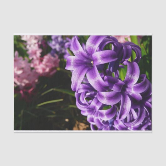 Blue Hyacinth II Spring Floral Tissuepapier (Voorkant)