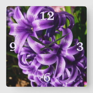 Blue Hyacinth II Spring Floral Vierkante Klok