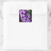 Blue Hyacinth II Spring Floral Vierkante Sticker (Tas)