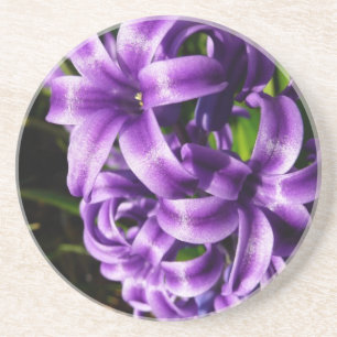Blue Hyacinth II Spring Floral Zandsteen Onderzetter