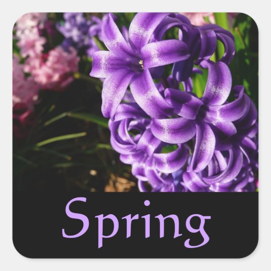 Blue Hyacinth Spring Sticker (Voorkant)