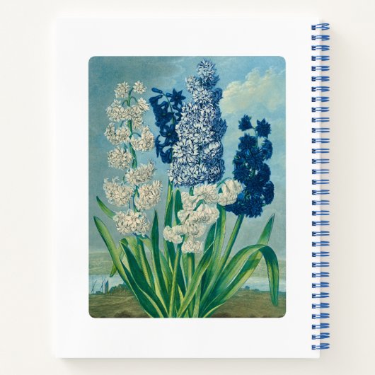 Blue Hyacinths  Botanical Art Notitieboek (Achterkant)