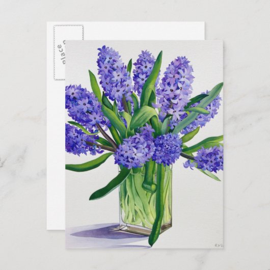 Blue Hyacinths Briefkaart (Voorkant / Achterkant)