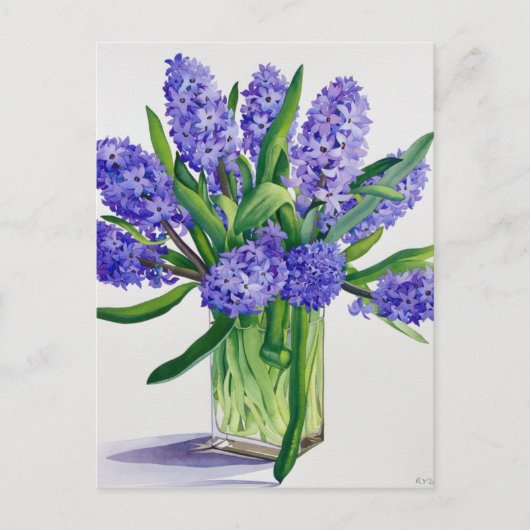 Blue Hyacinths Briefkaart (Voorkant)