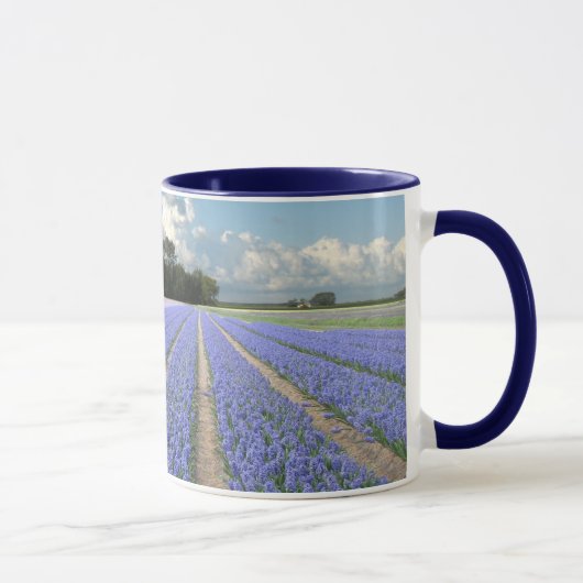 Blue Hyacinths in Field Holland Mok (Rechts)