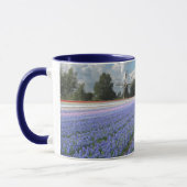Blue Hyacinths in Field Holland Mok (Links)