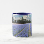 Blue Hyacinths in Field Holland Mok (Midden)
