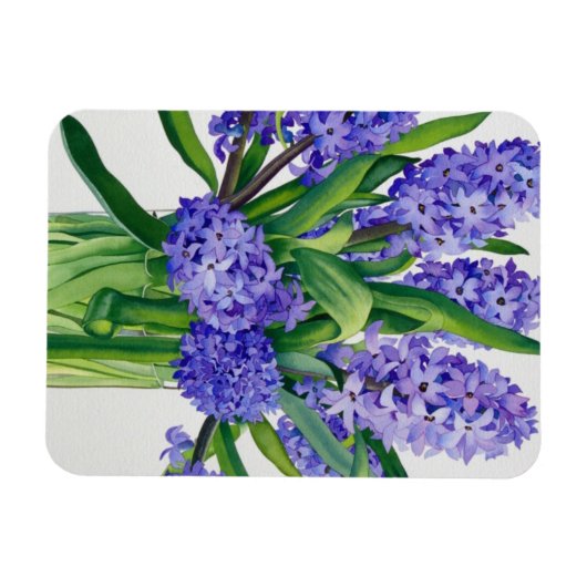 Blue Hyacinths Magneet (Horizontaal)
