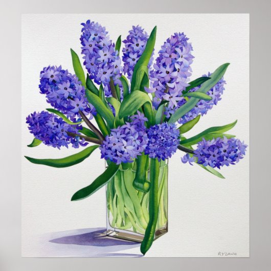 Blue Hyacinths Poster (Voorkant)