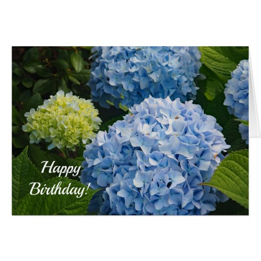 Blue Hydrangea 814 Birthday Card (Voorkant Horizontaal)